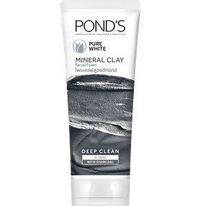 Ponds Pure Bright Mineral Clay Anti Pollution Purity Face Wash Foam
